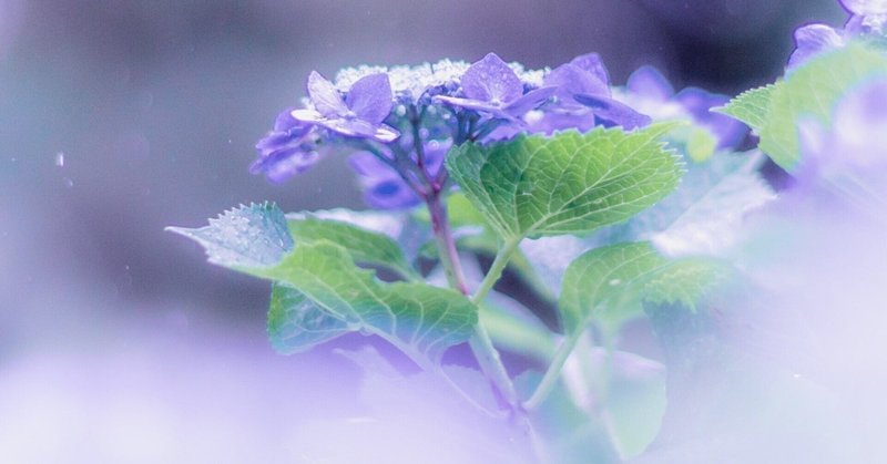 雨の日のひとりごと ふわりん カウンセラーのたまご Note