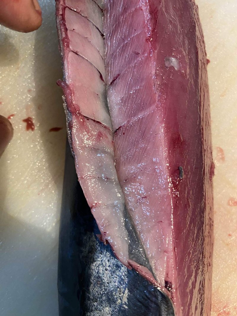 鰹の季節 Toru Kadoya Note