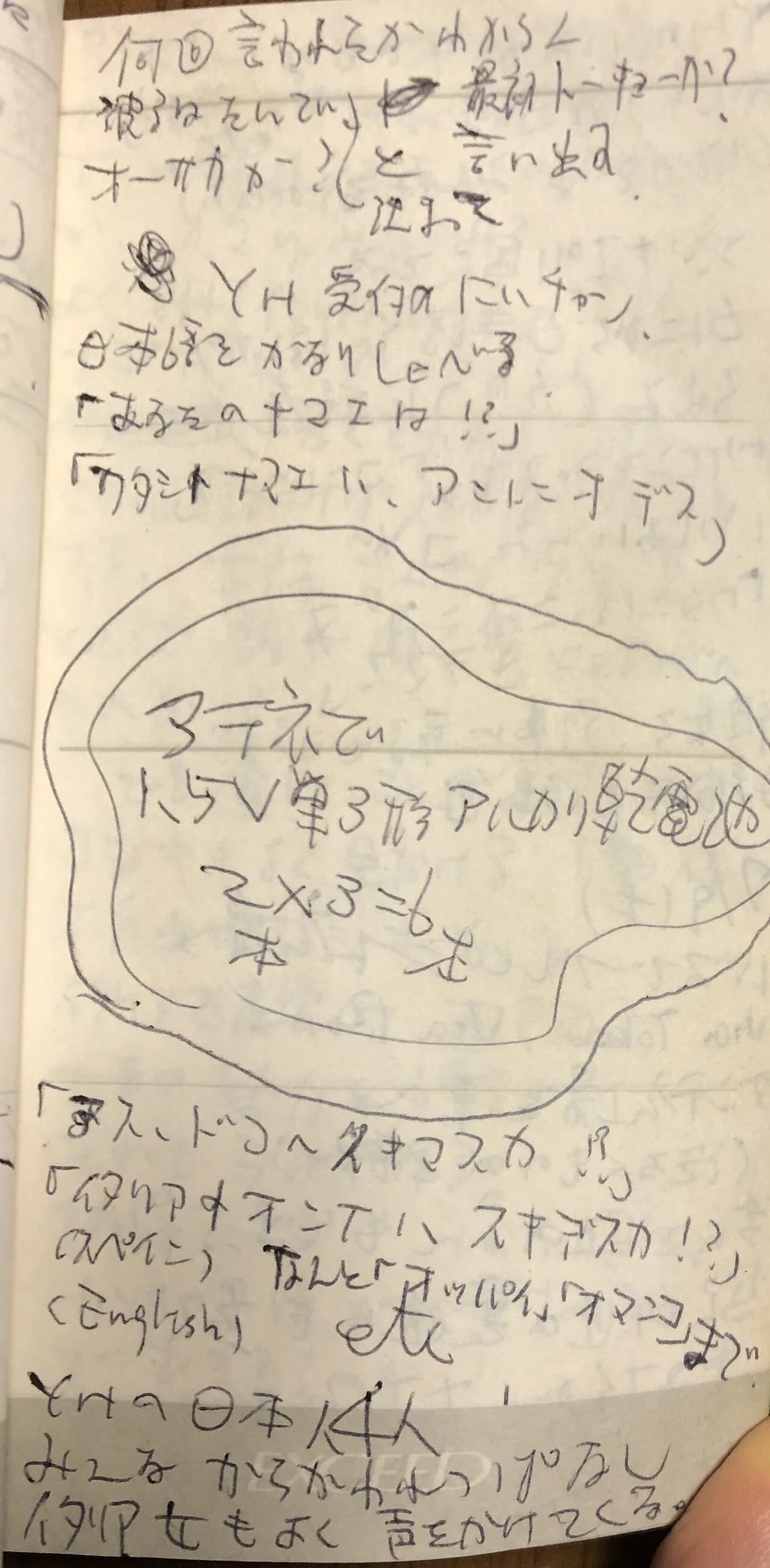 画像4