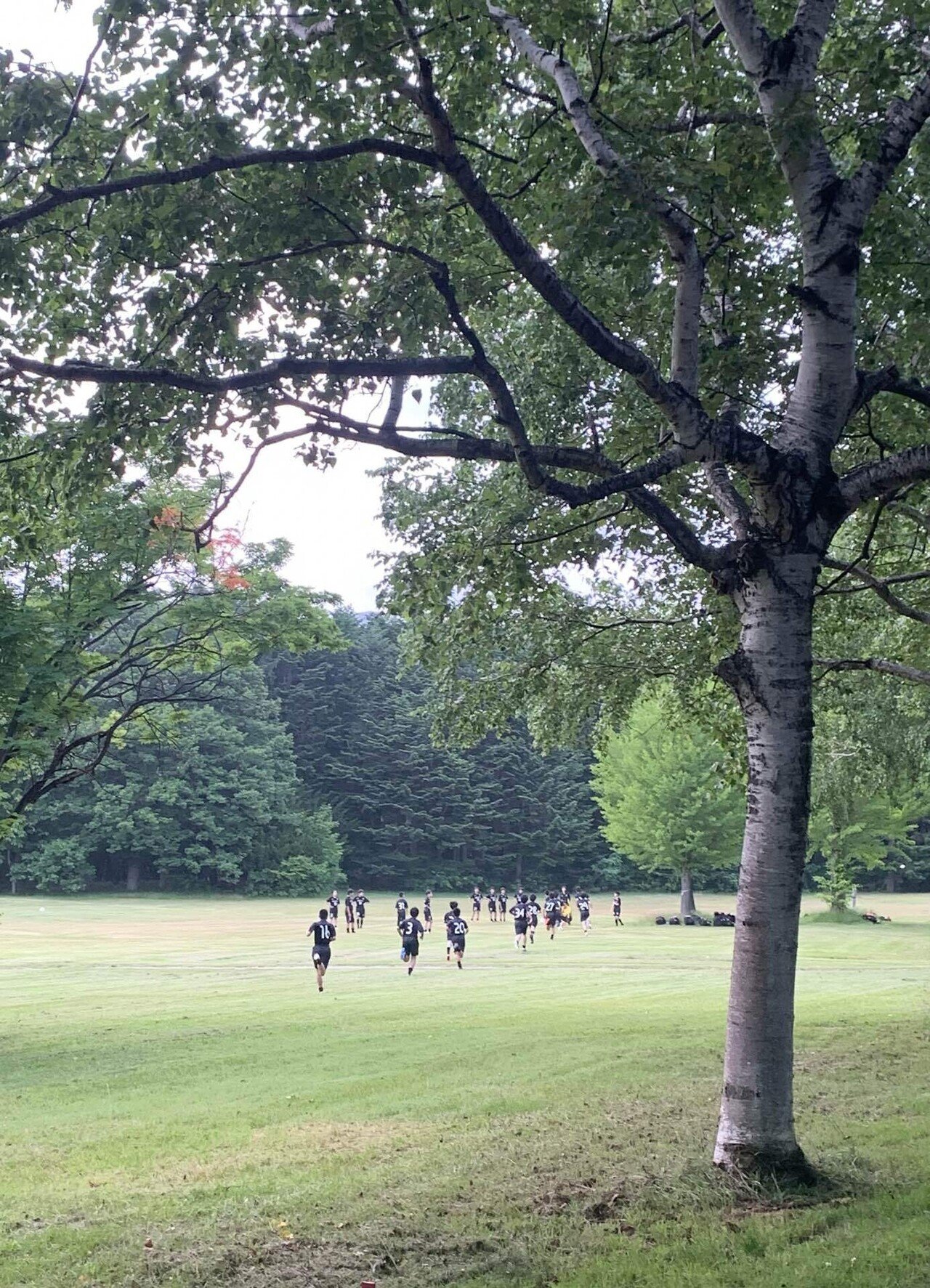 お別れの時 Saka Boo Boo Note