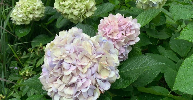 自分がやらねばならぬこと 朝に希望 Note