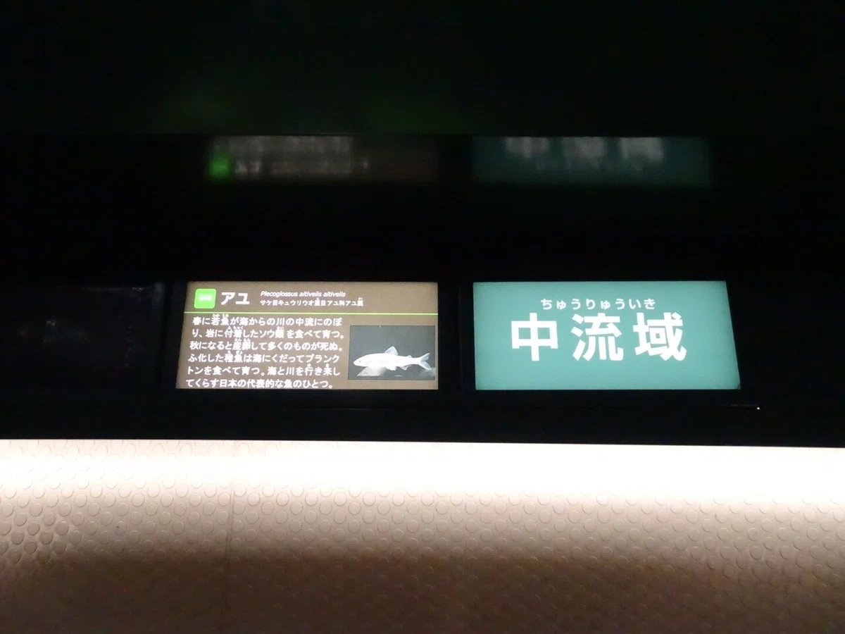 画像94