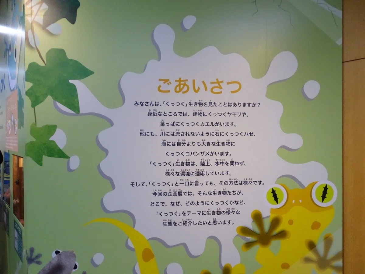 画像6
