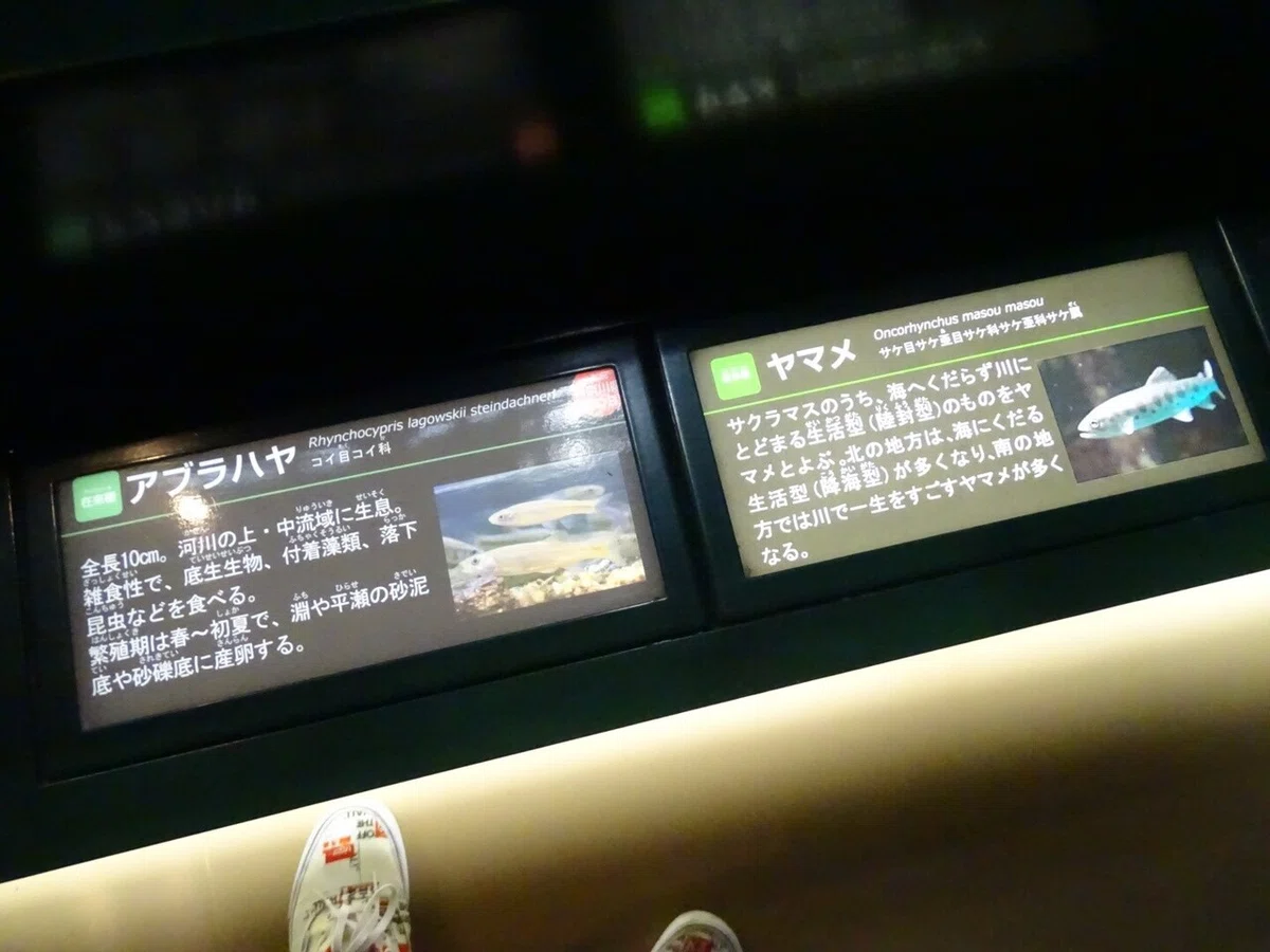 画像104