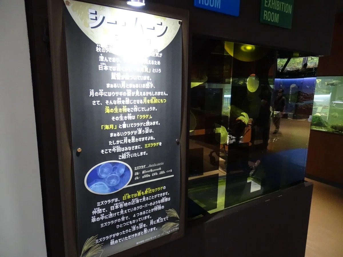 画像38