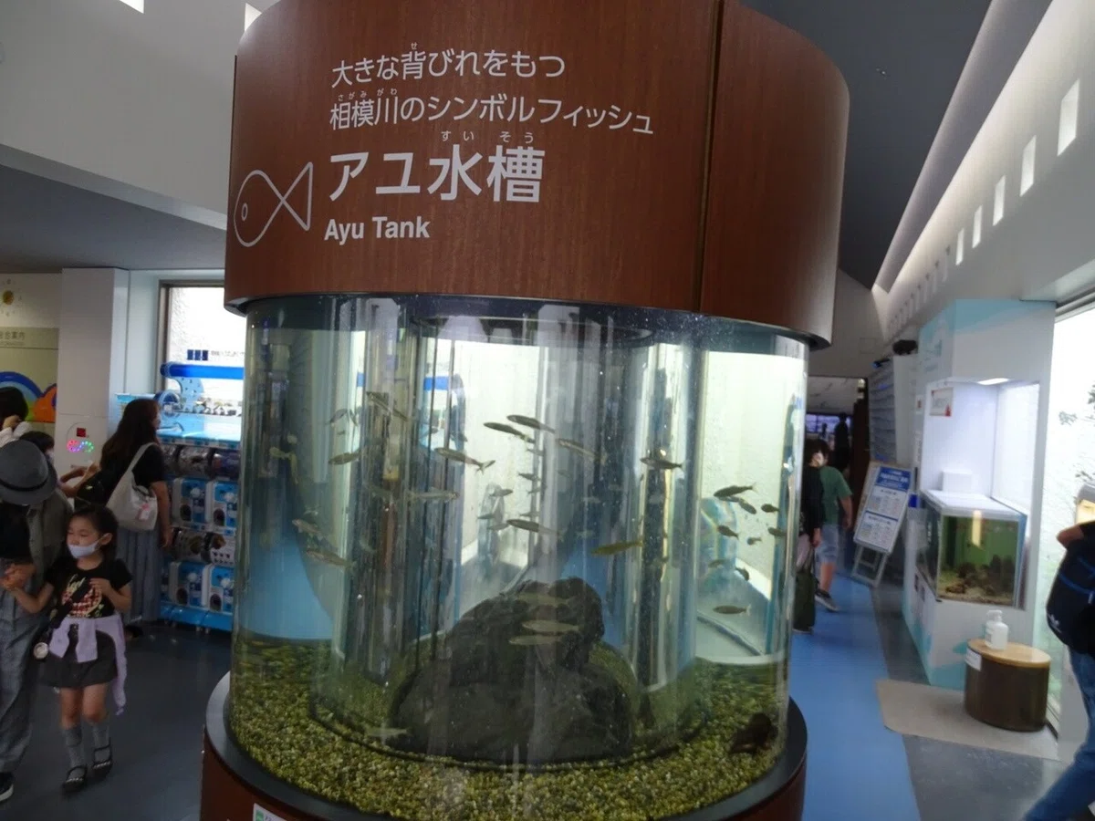 画像32