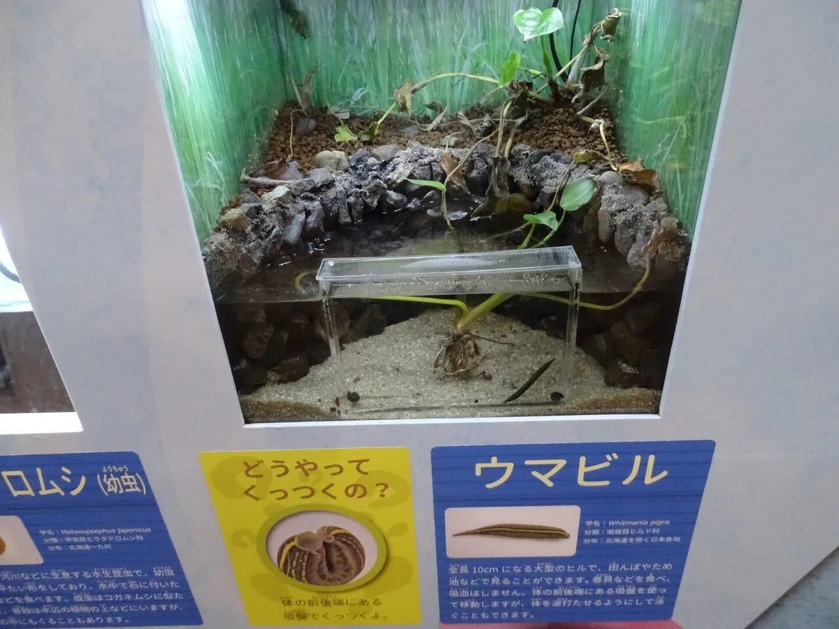 画像14