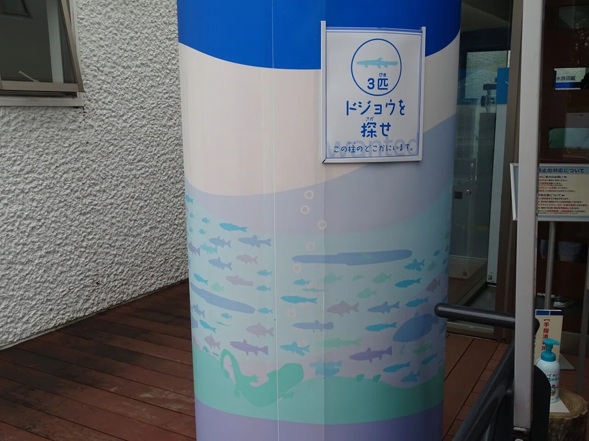 画像31