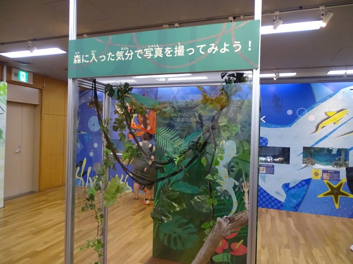 画像7