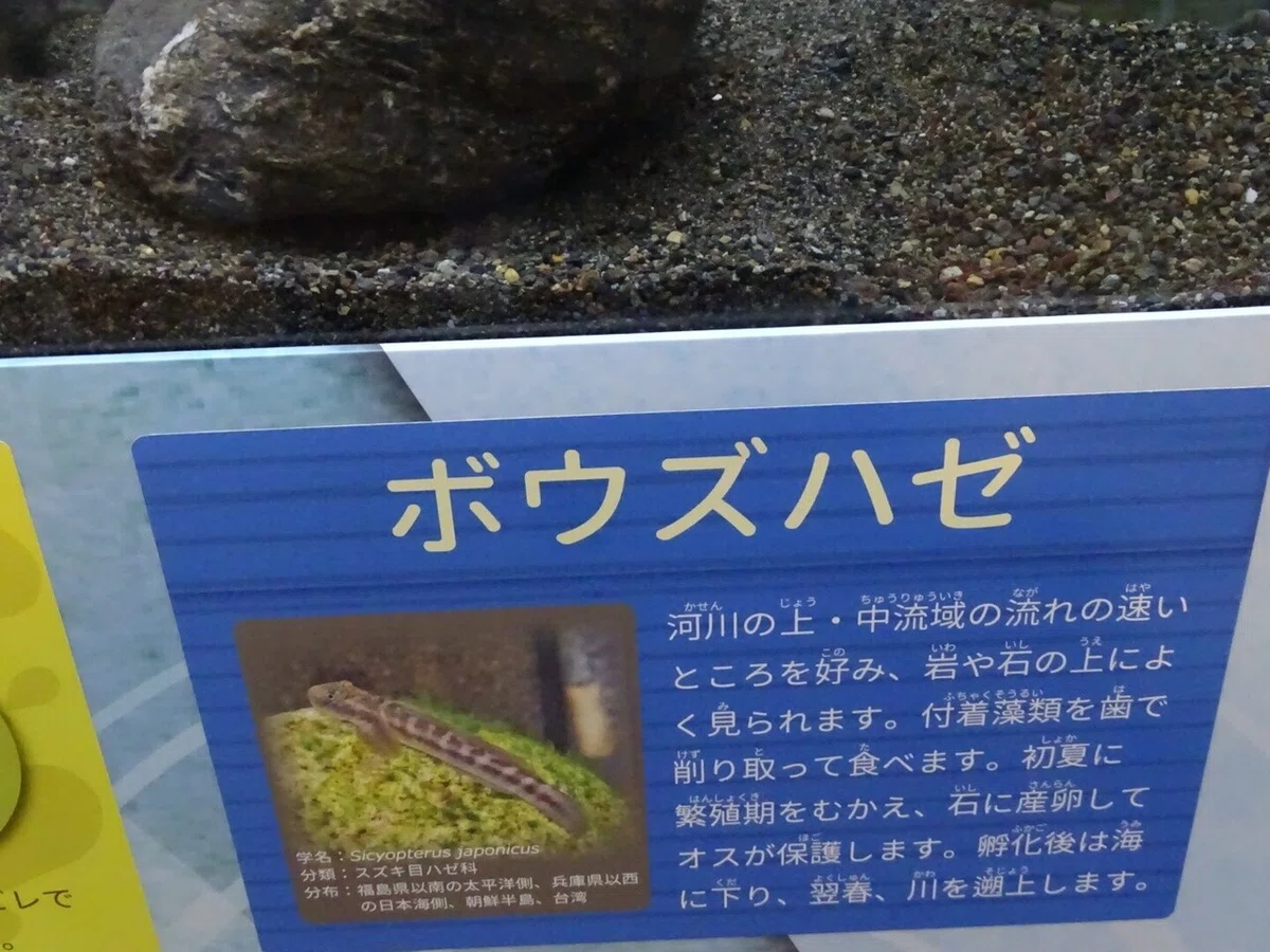 画像10