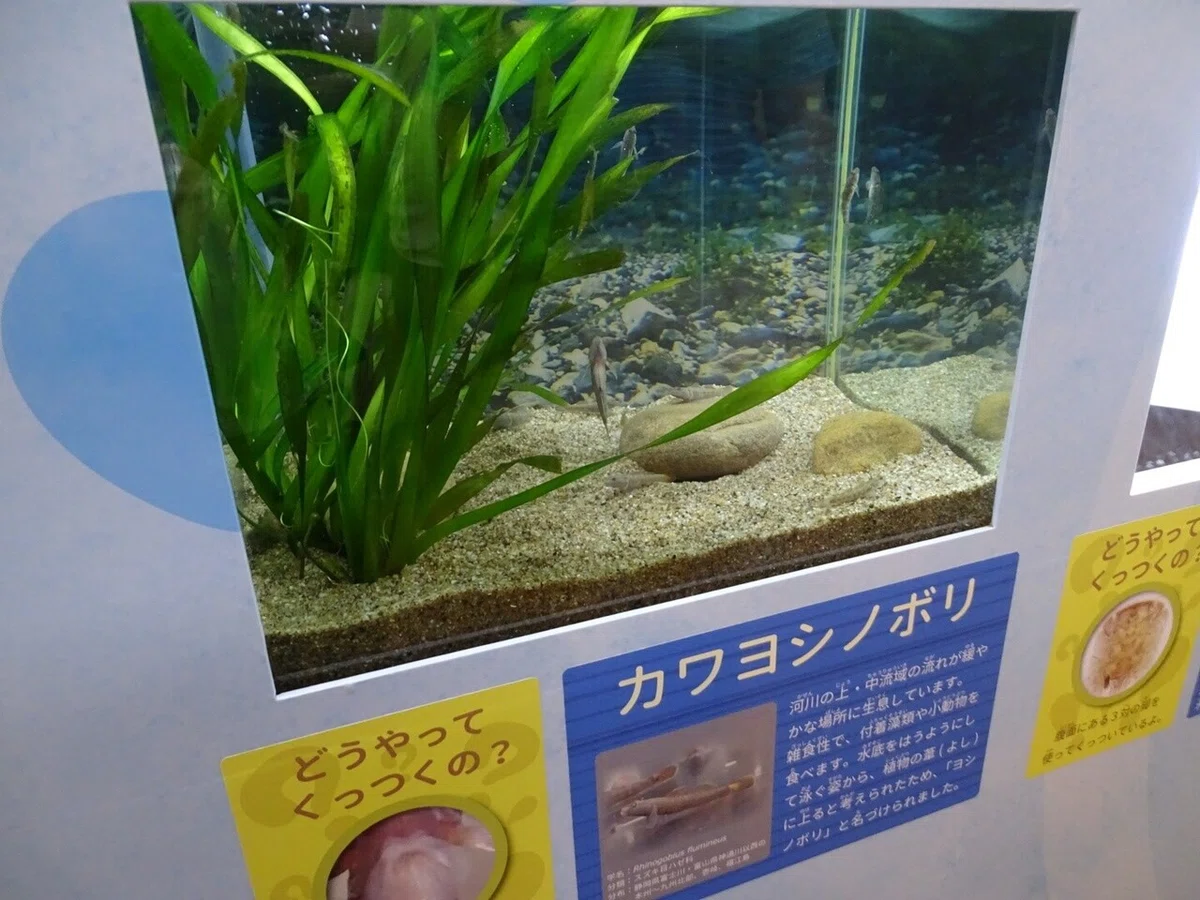 画像12