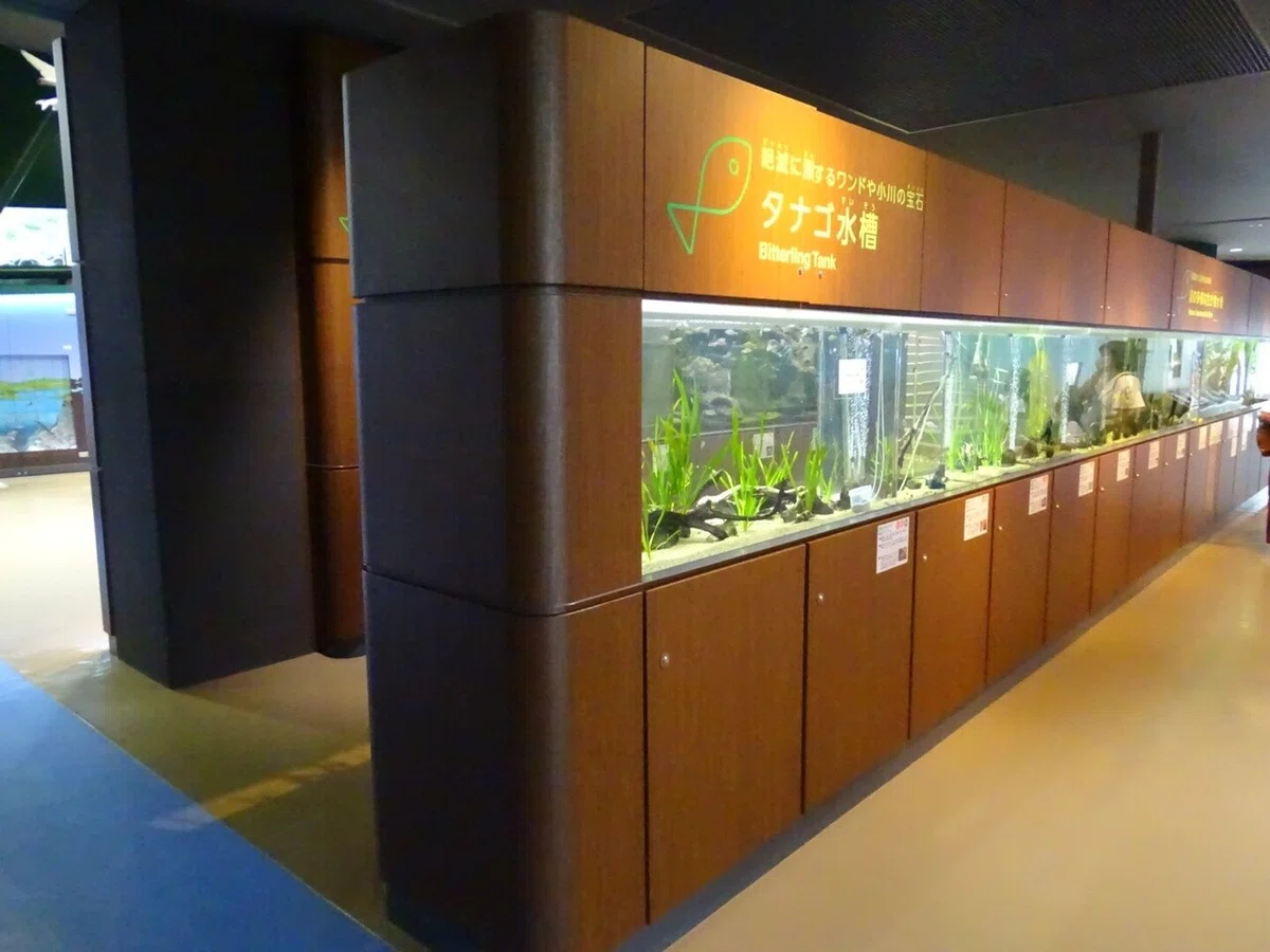 画像37