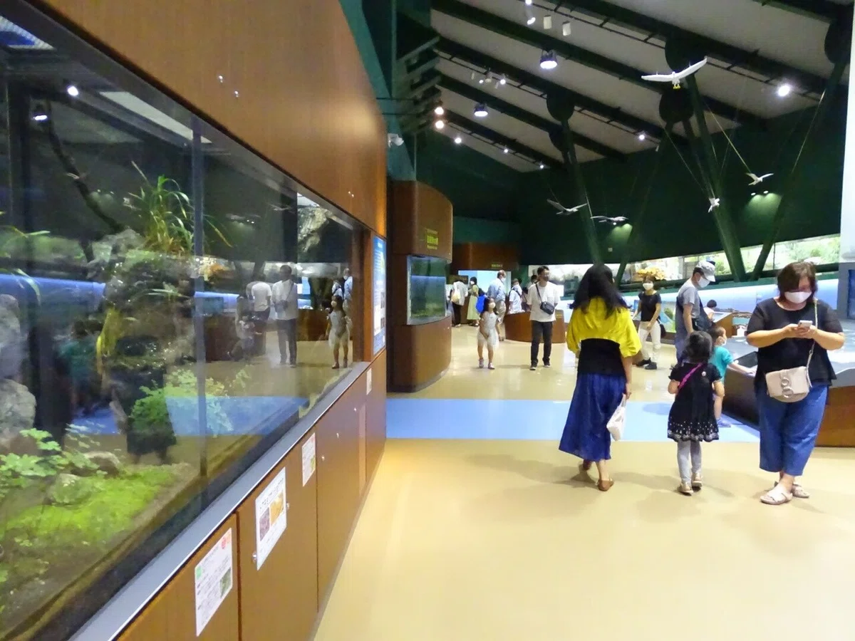 画像57