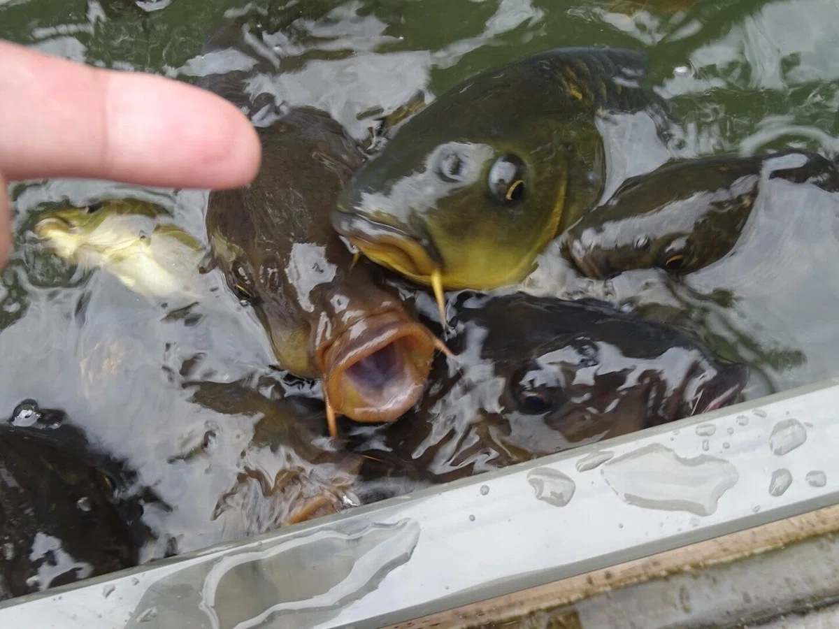 画像124