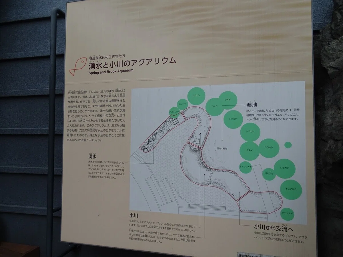 画像115