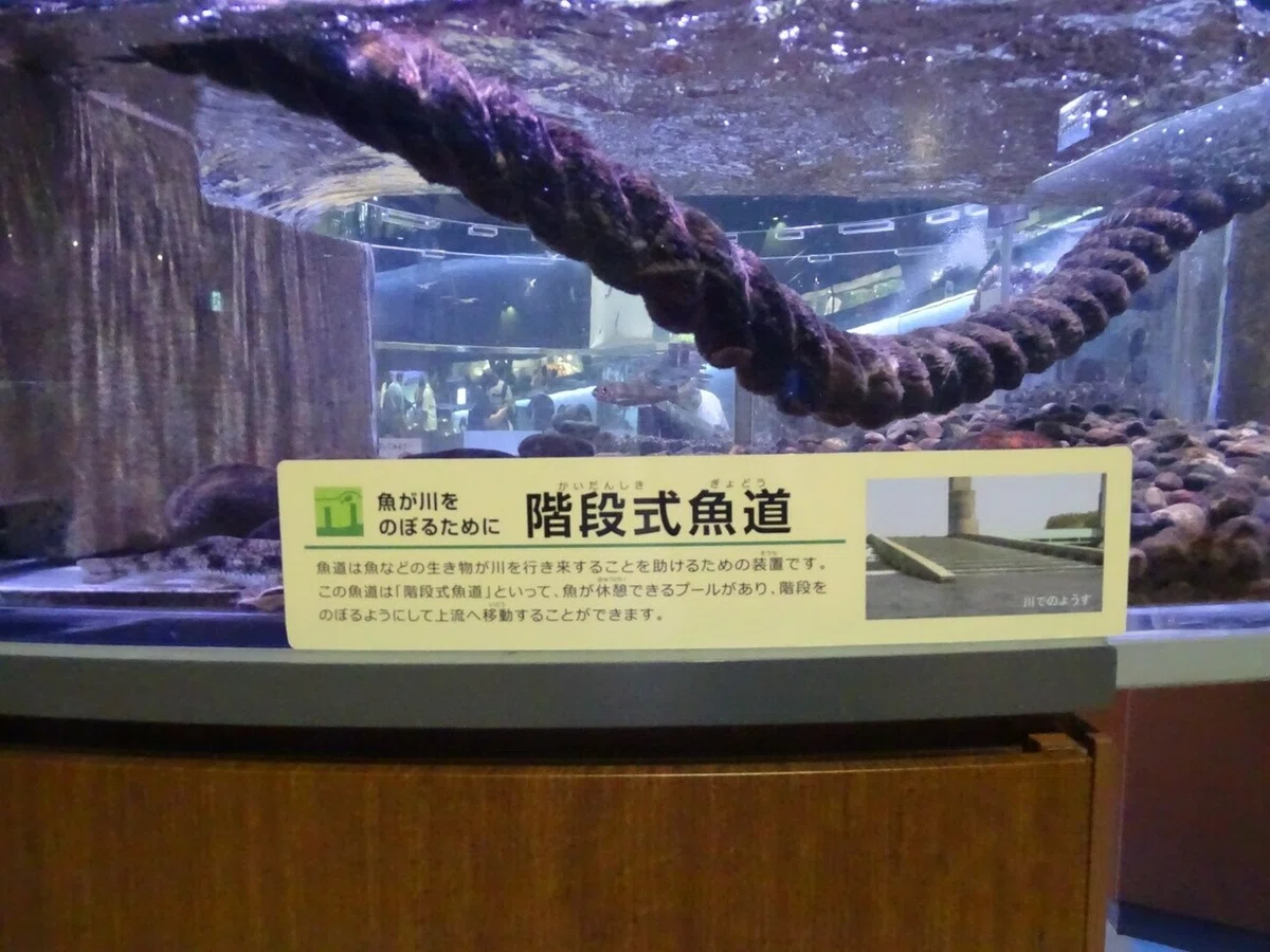 画像53