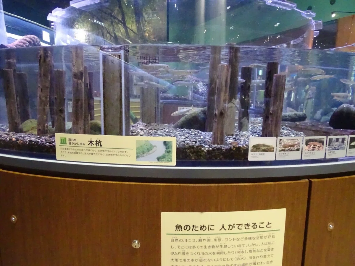 画像63