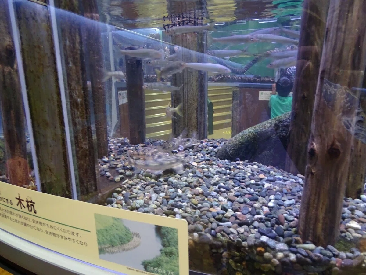 画像50