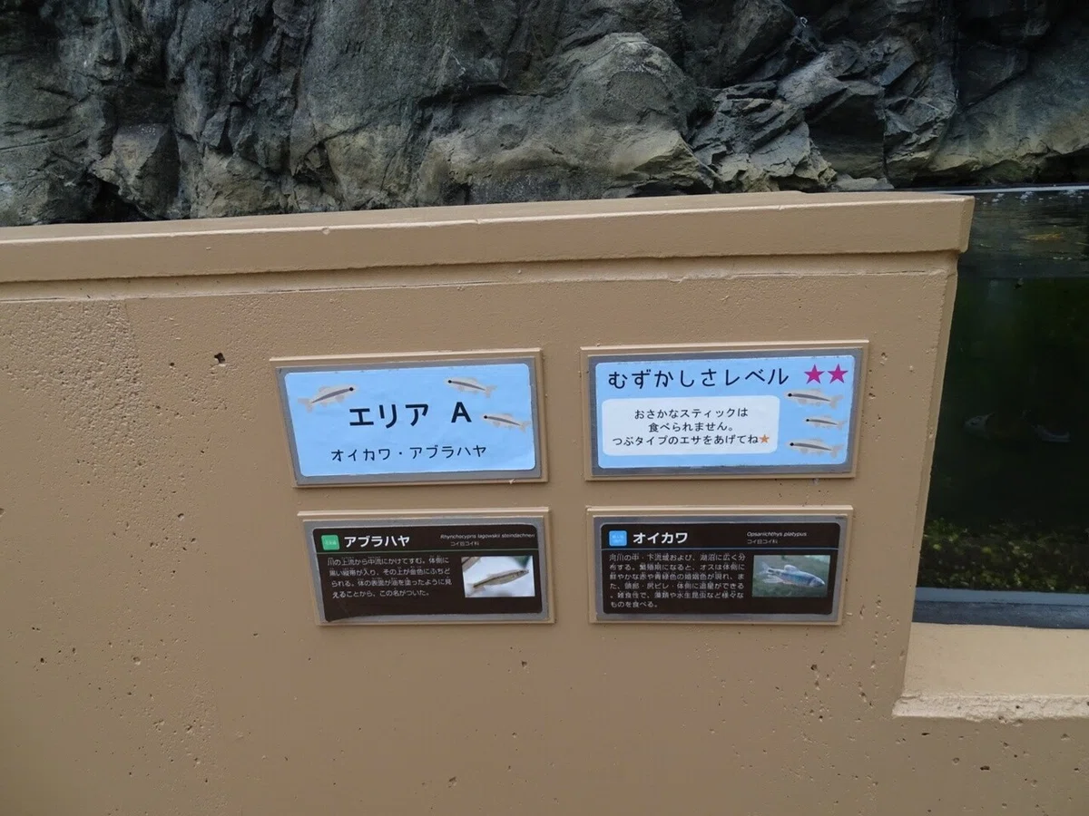 画像118