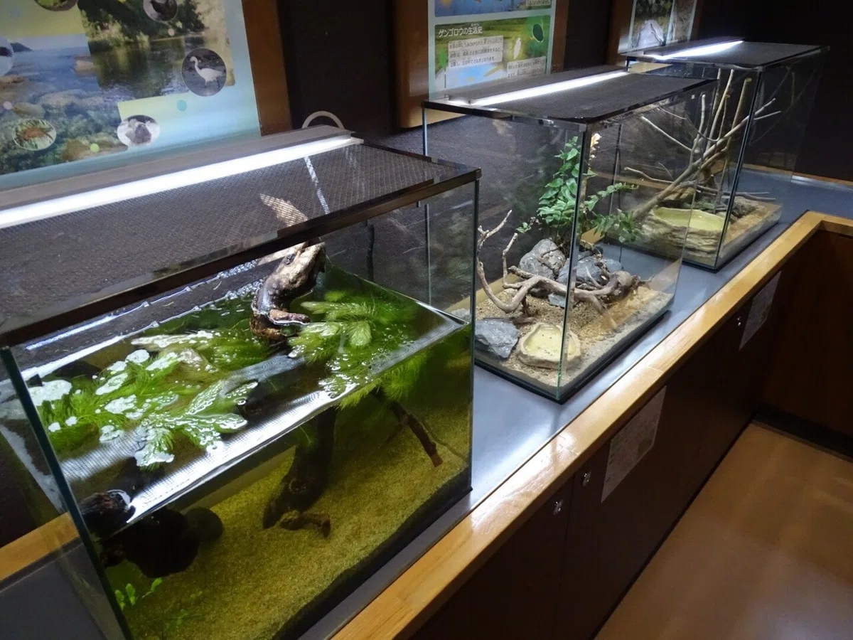 画像39