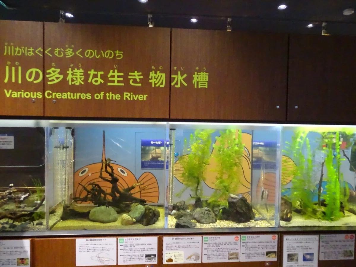 画像108