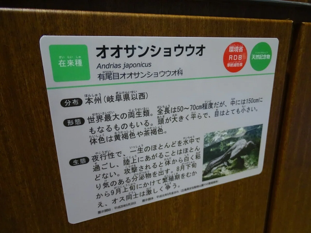 画像61
