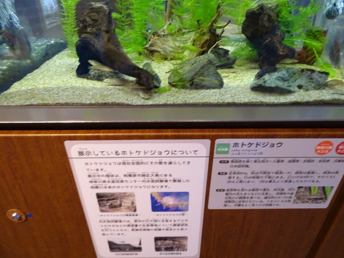 画像128
