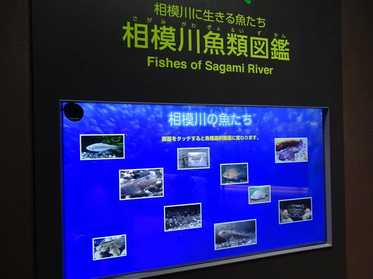 画像65