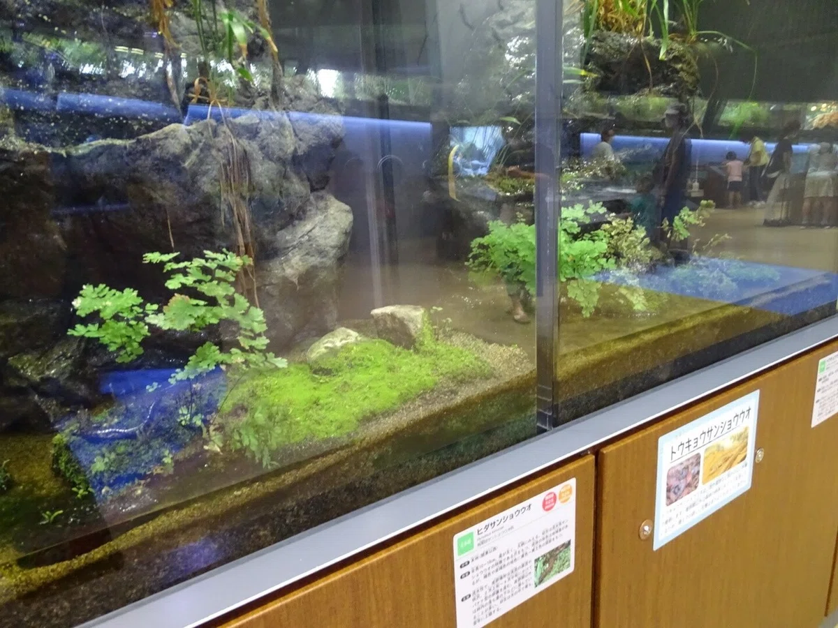 画像56