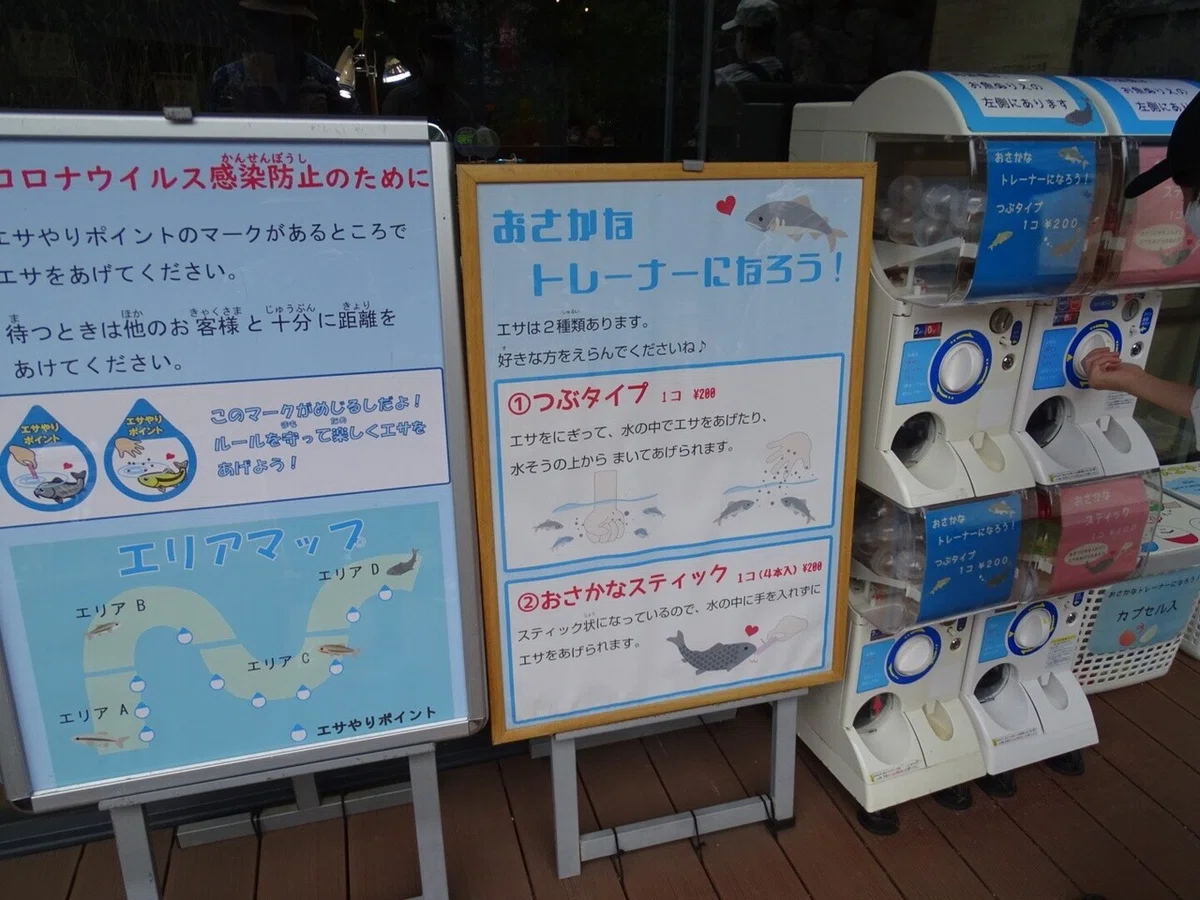 画像127