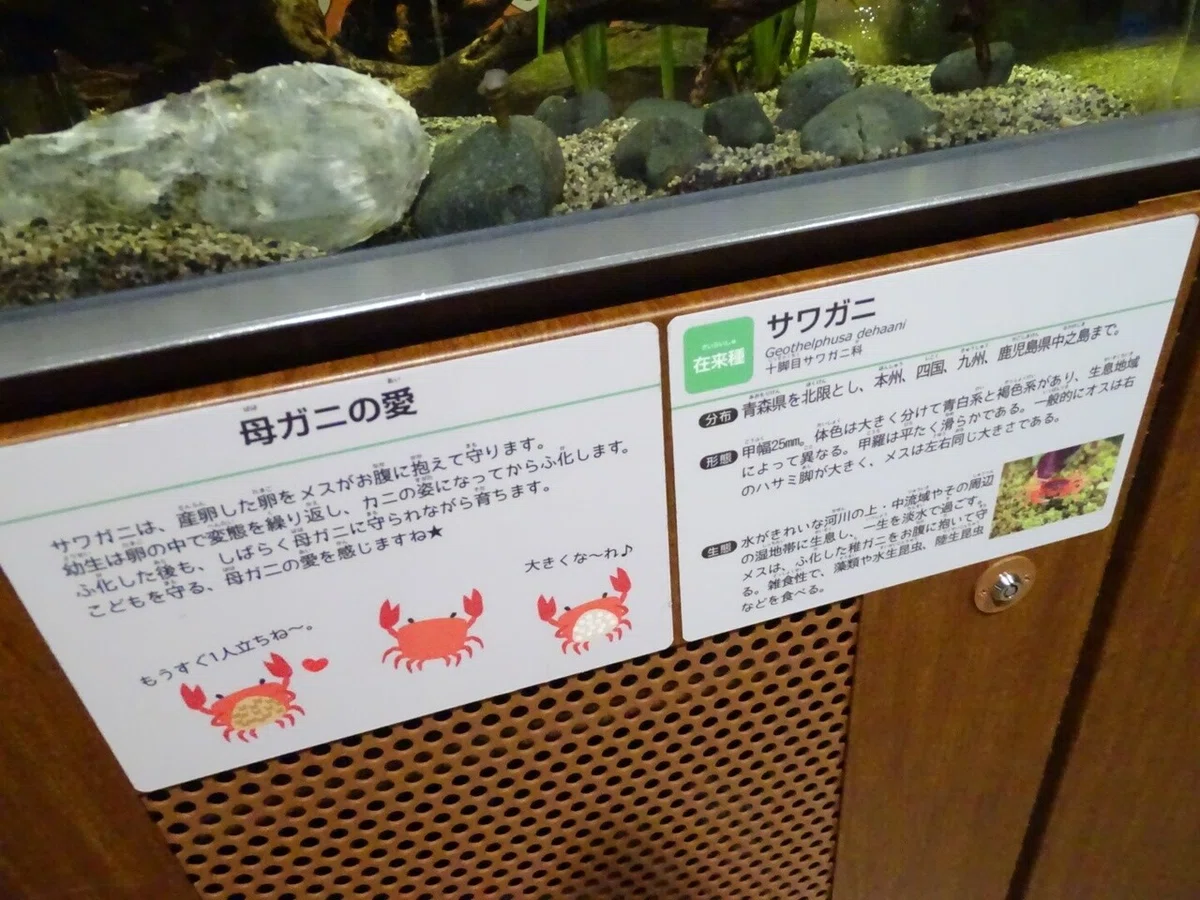 画像111