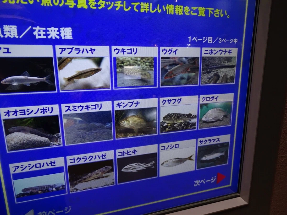 画像67