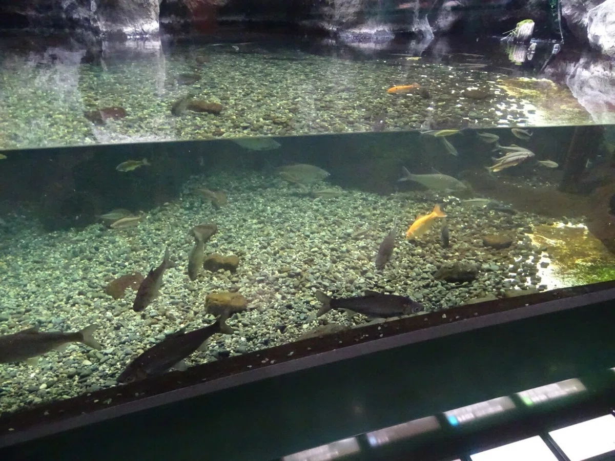 画像79