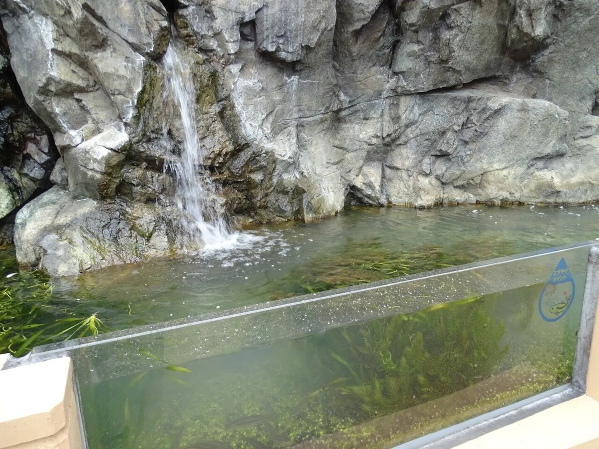画像117
