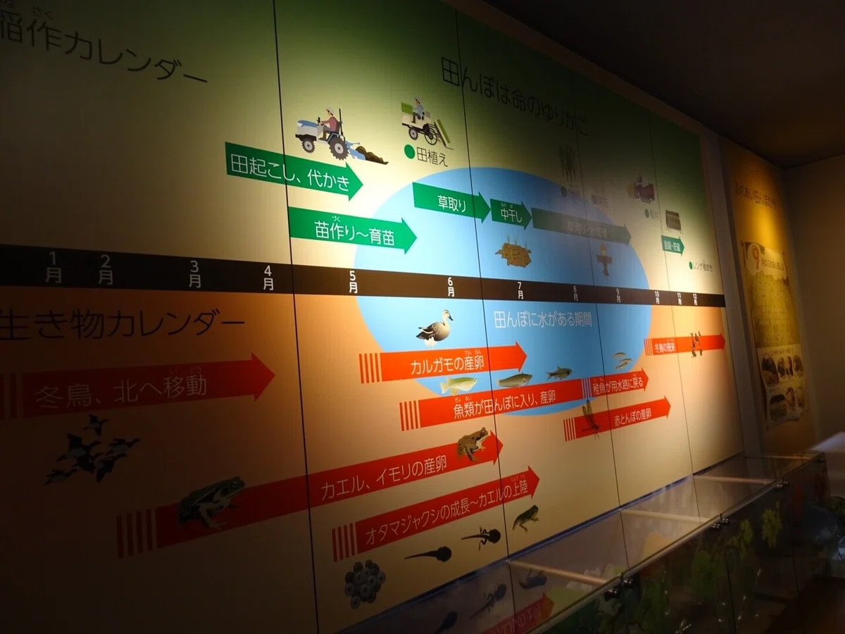 画像143