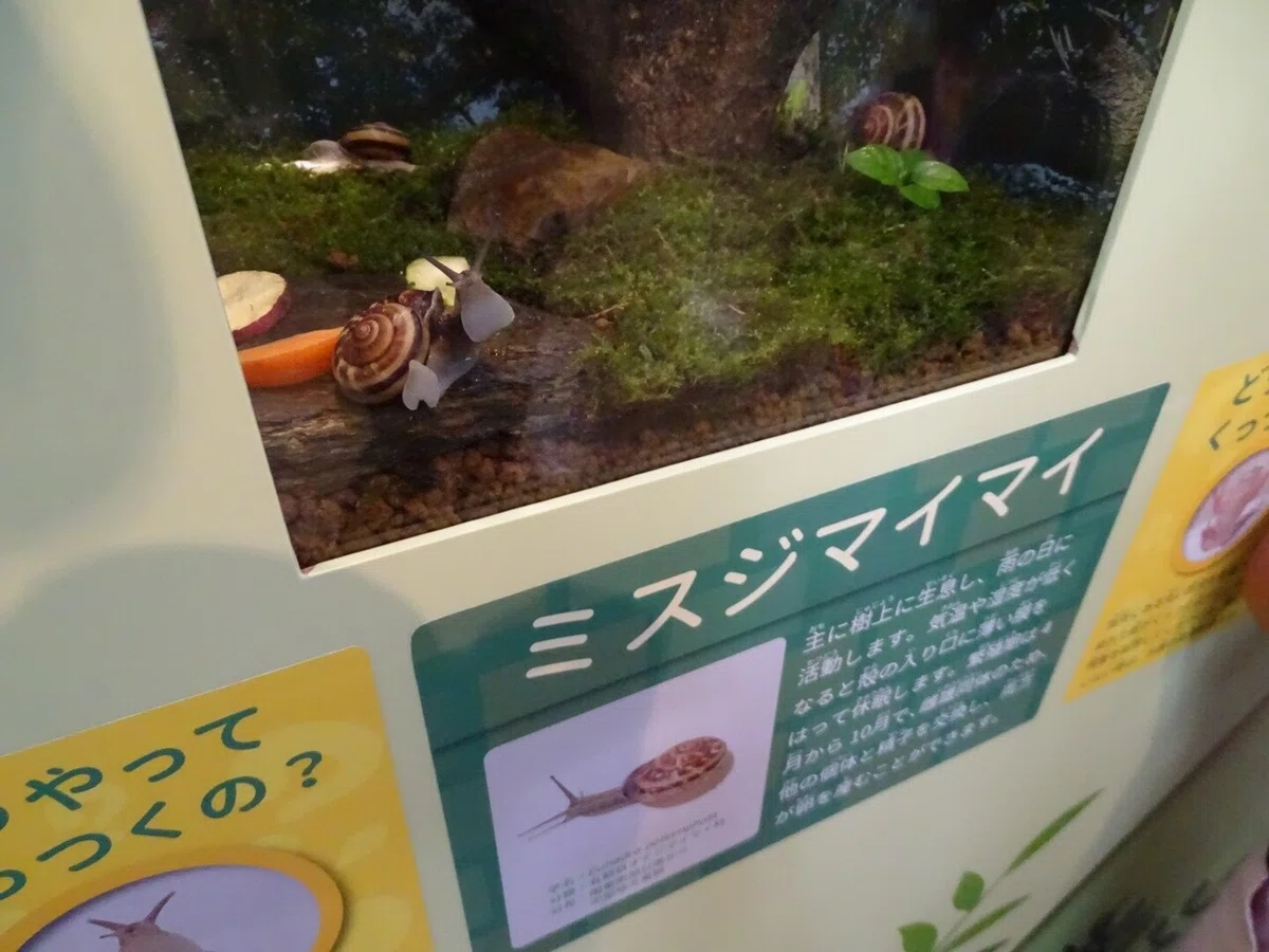 画像166