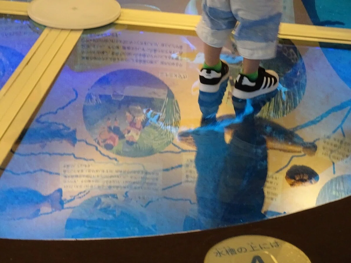 画像146