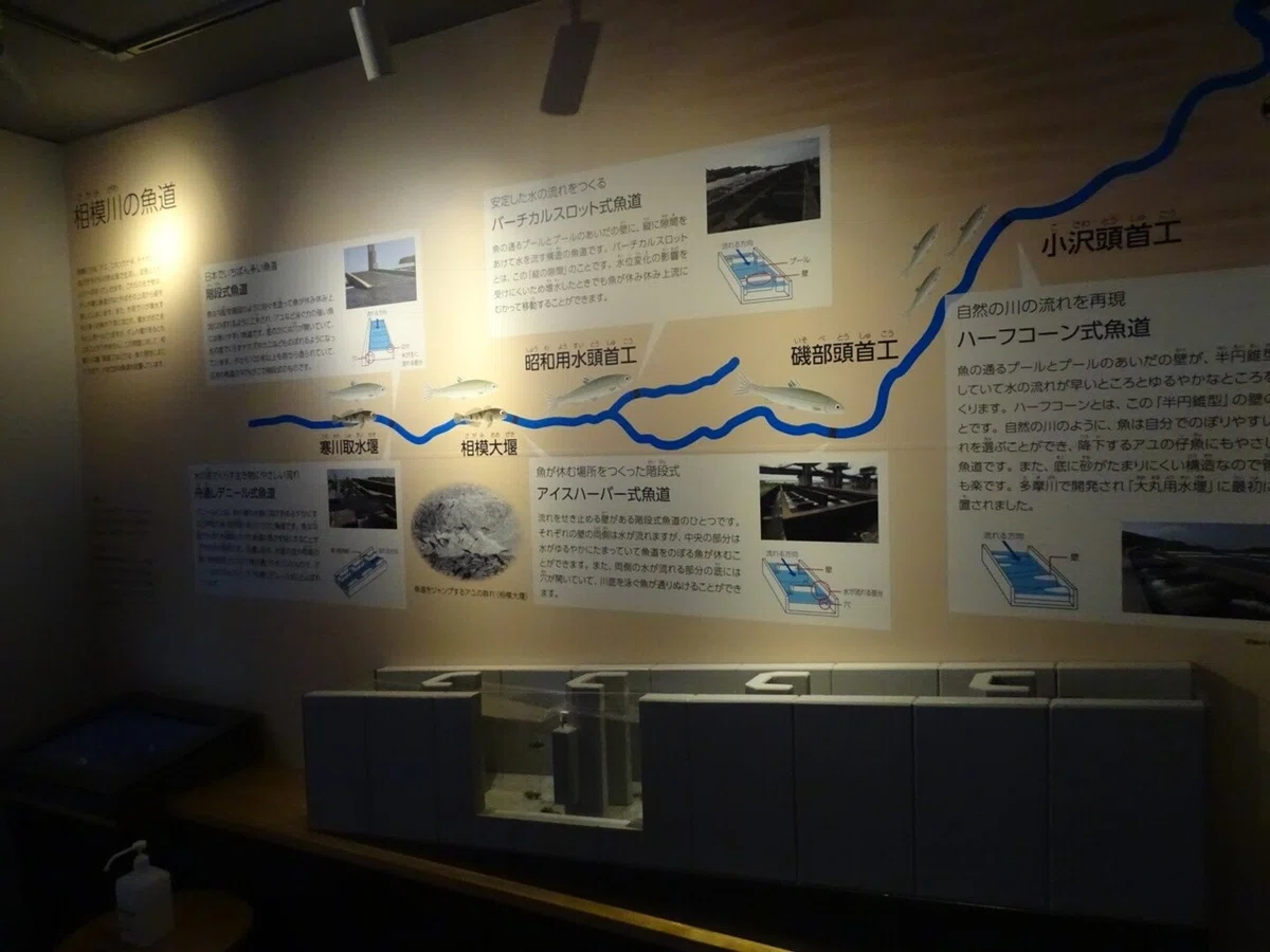 画像145
