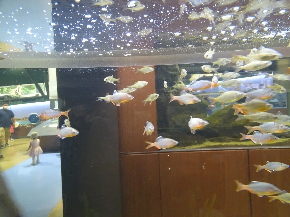 画像134