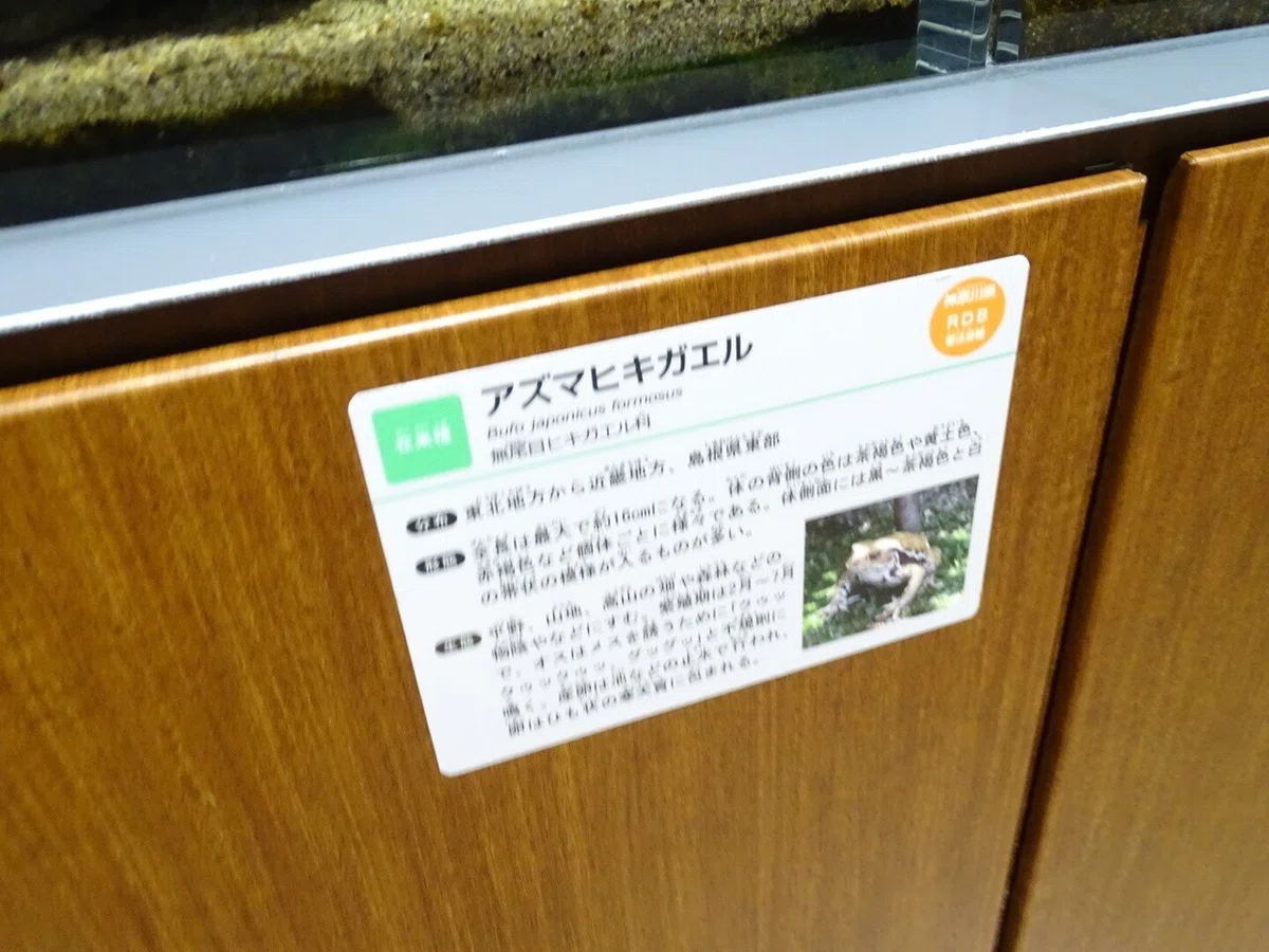 画像137