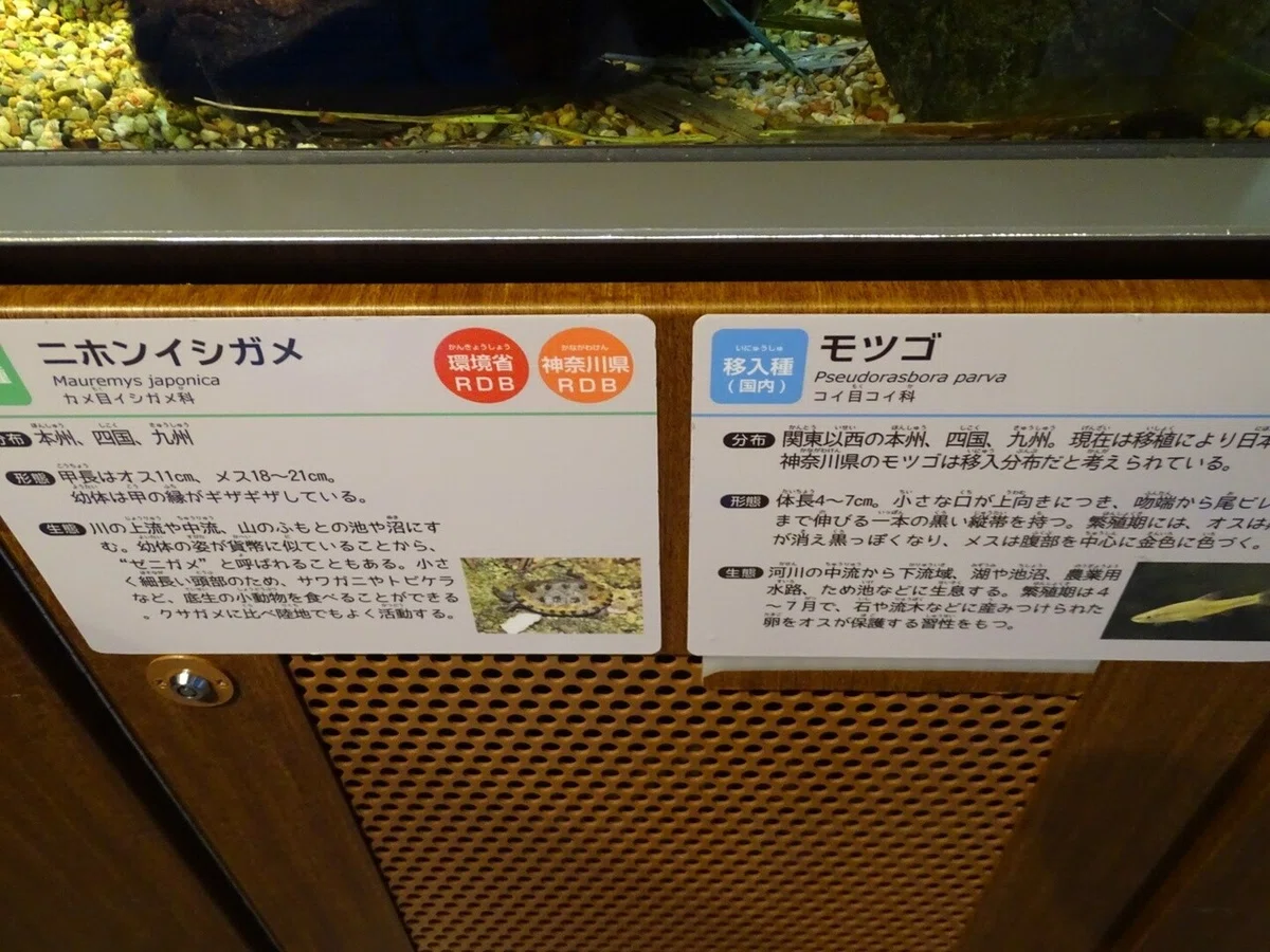 画像132