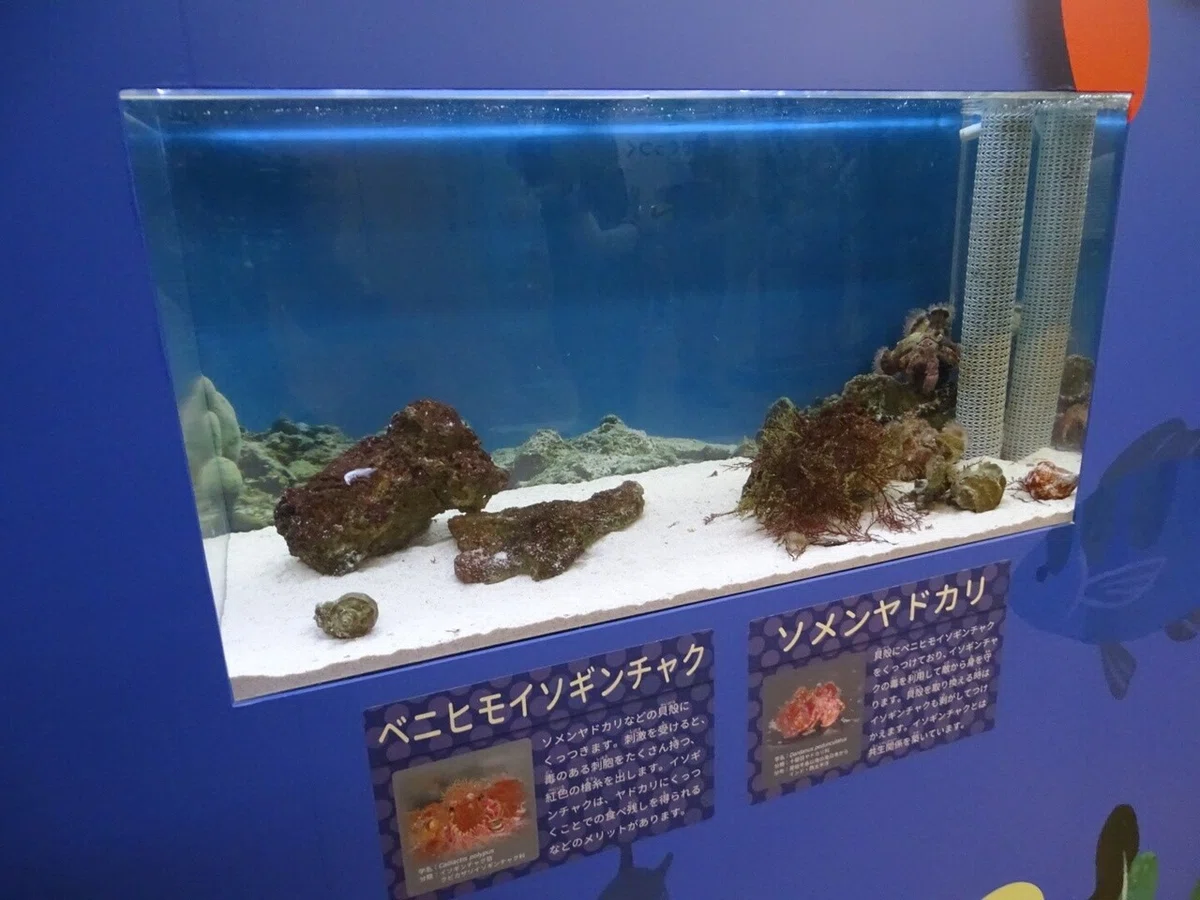 画像151