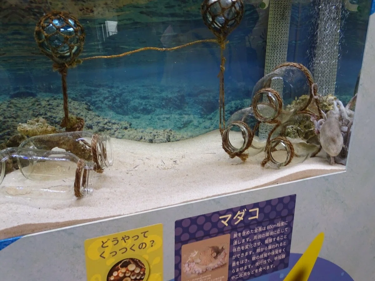 画像159