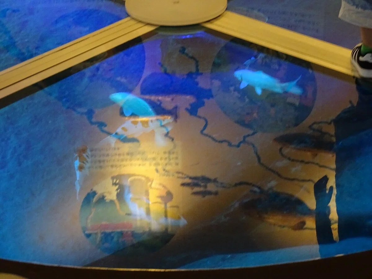 画像147