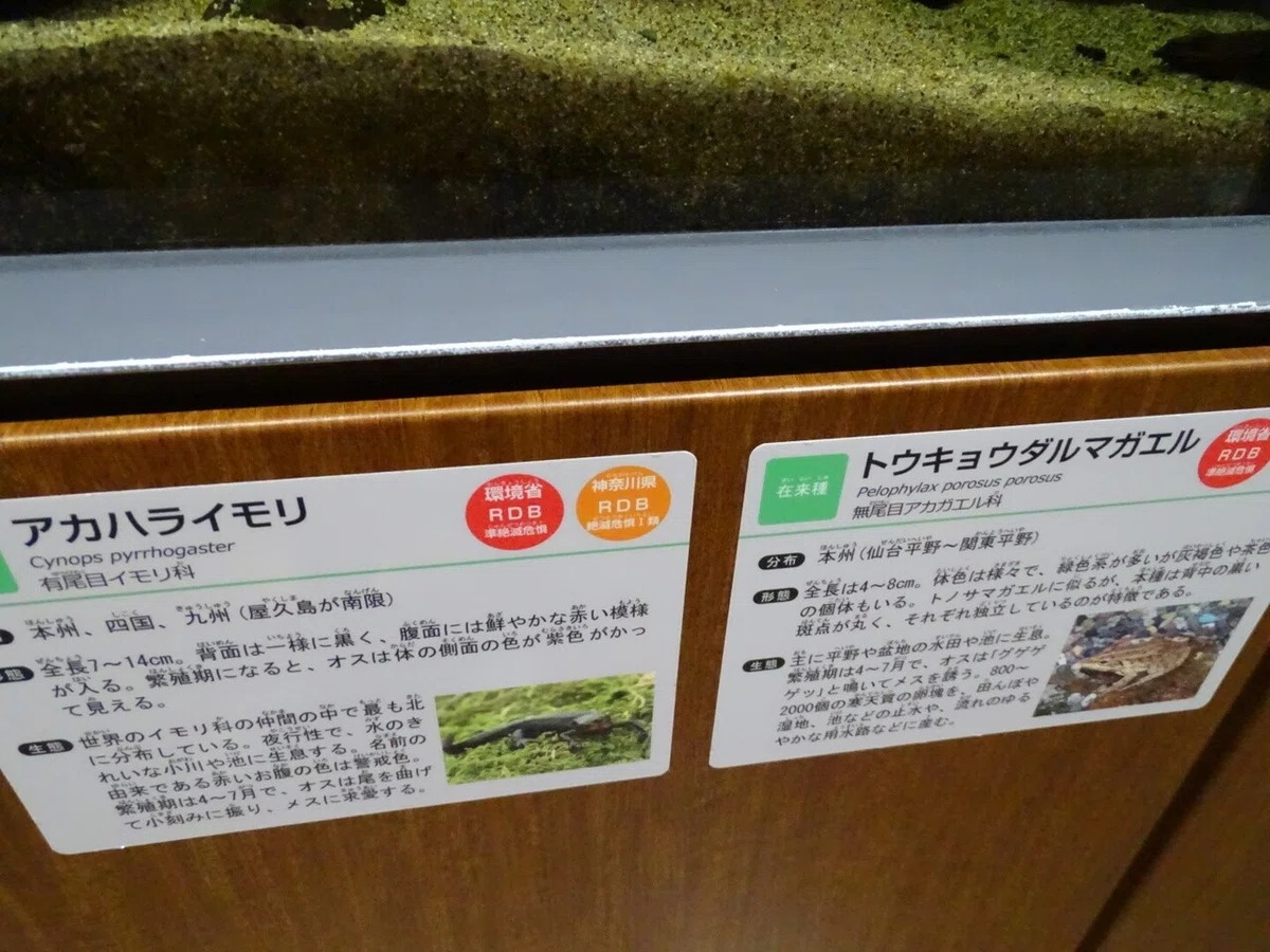 画像141