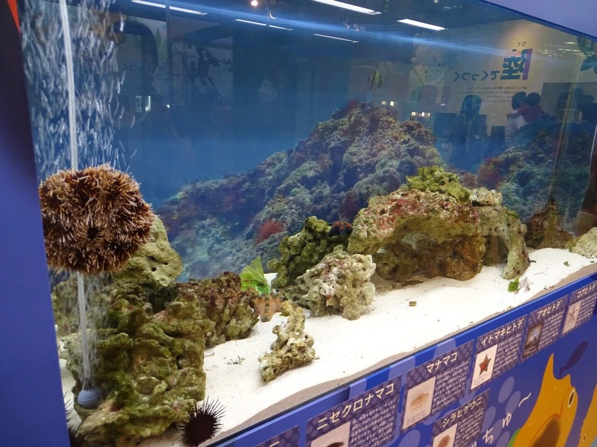 画像153