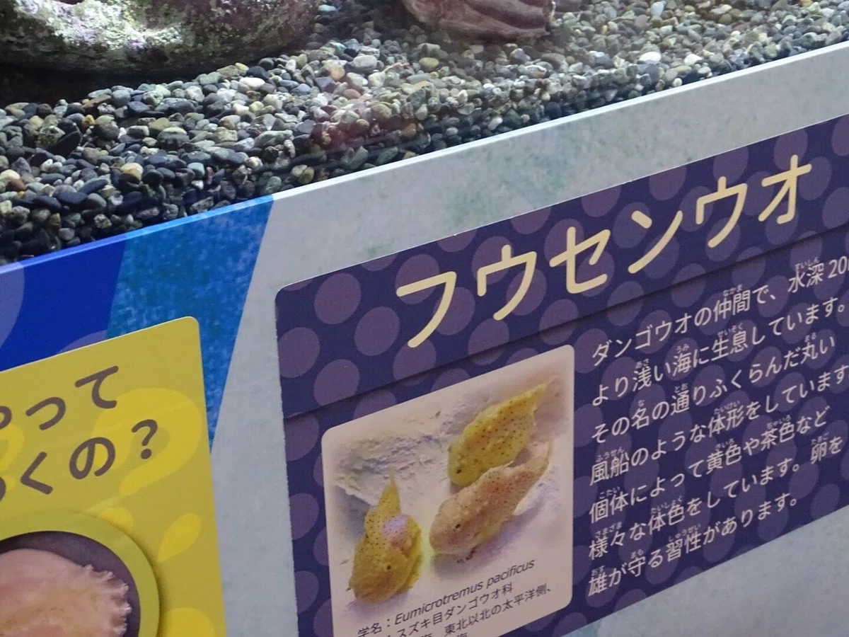 画像157
