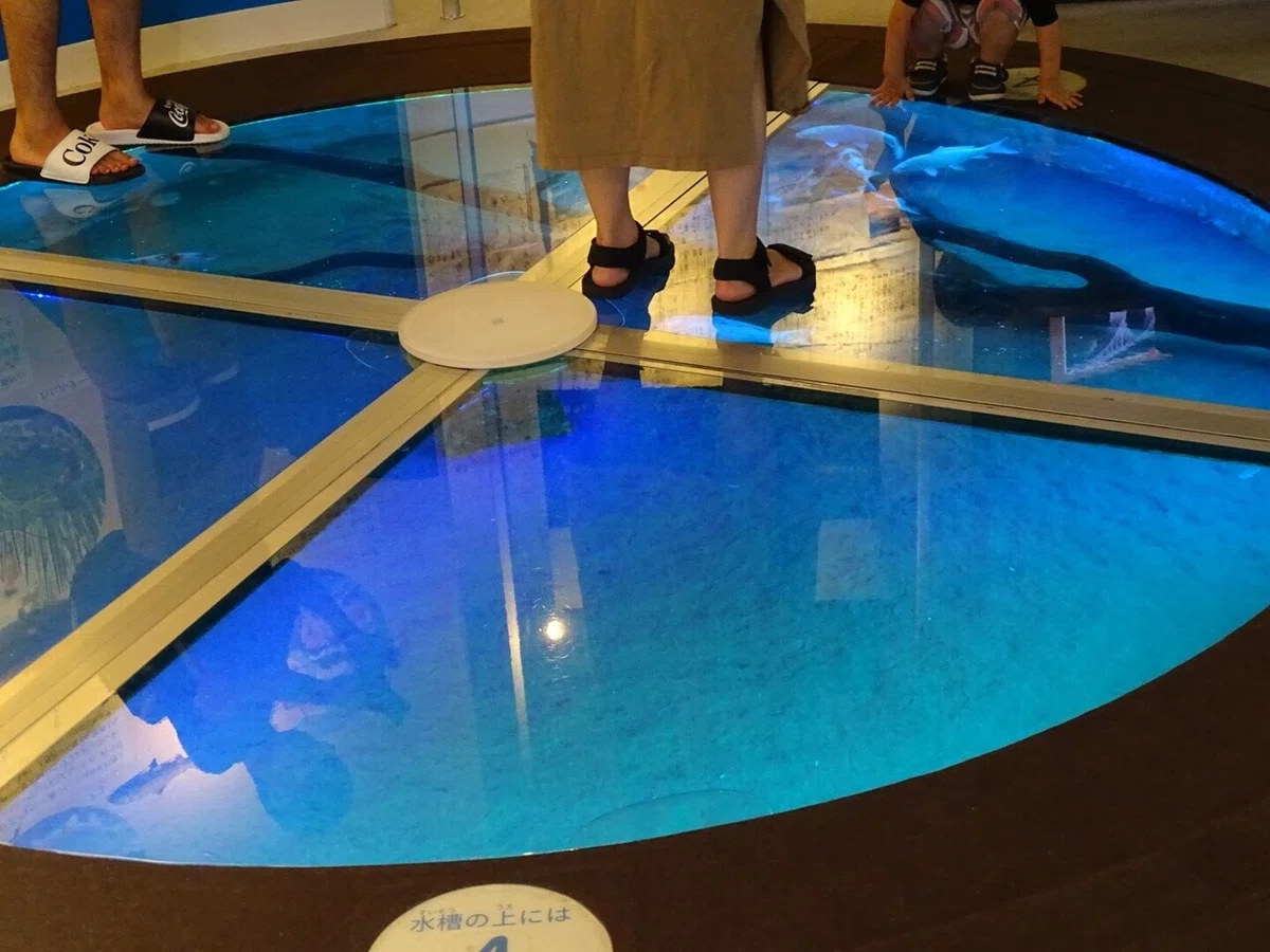 画像144