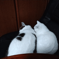 斉藤まりあの21年のノート Note