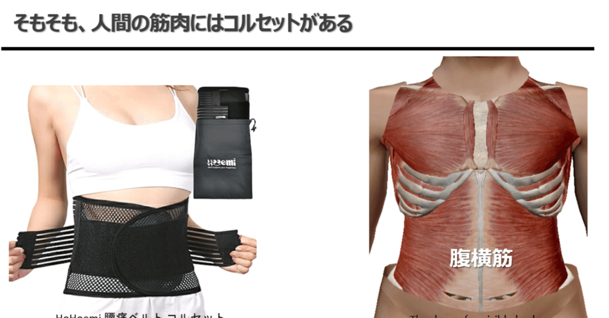 筋性疼痛症候の臨床観察　上下巻セット Amazon.co.jp: 筋性疼痛症候の臨床観察: 筋の“運動作用”及び